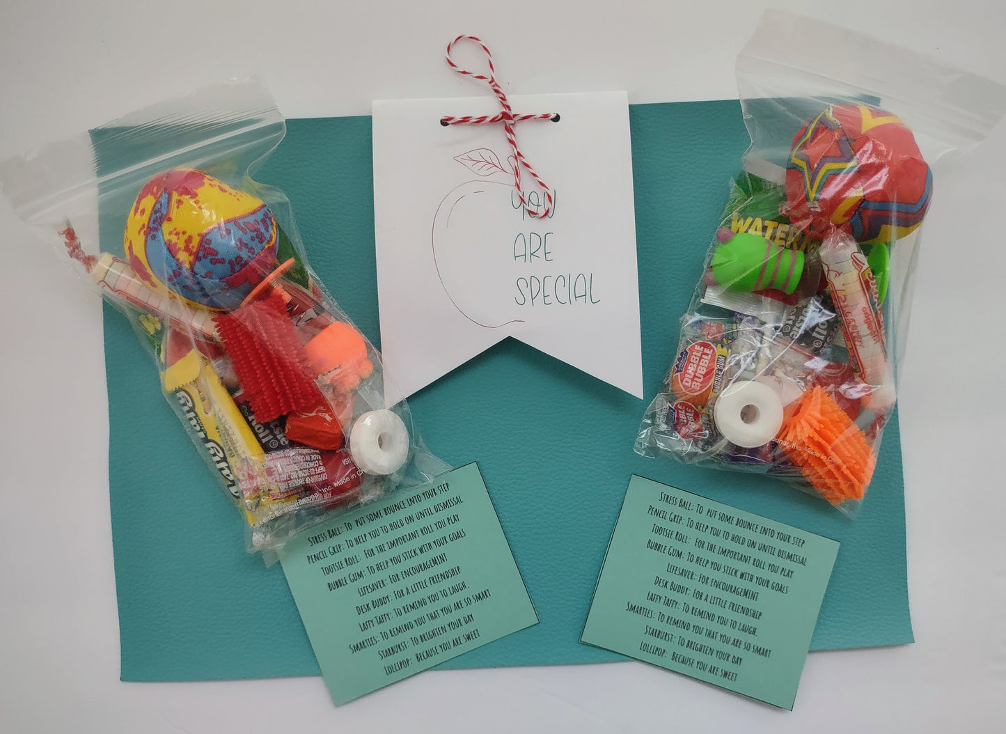 You Are Special Student/ Teacher Treat Bag